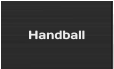 Handball