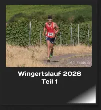 Wingertslauf 2026 Teil 1