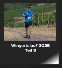 Wingertslauf 2026 Teil 3