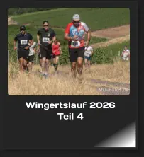 Wingertslauf 2026 Teil 4